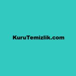 KuruTemizlik.com for sale